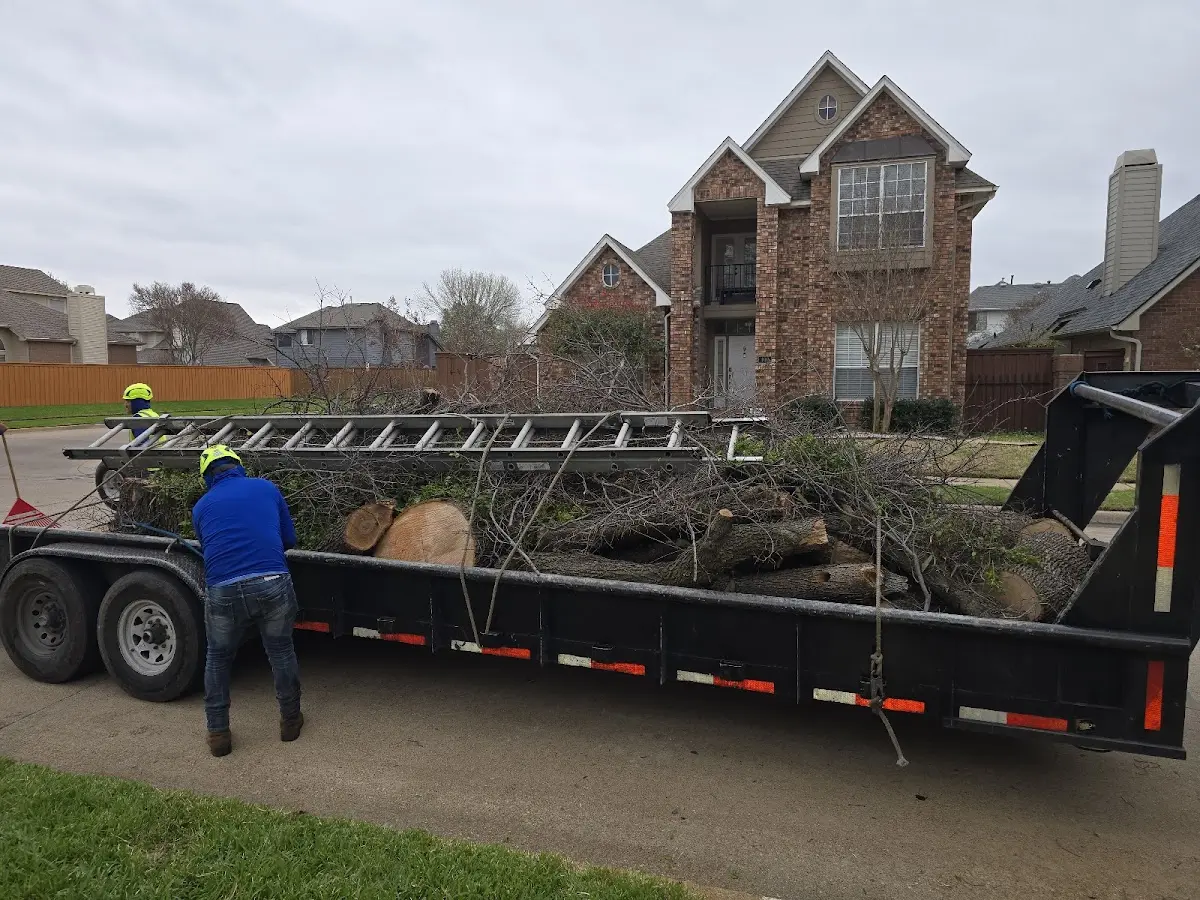 Expert Crown Reduction with proper safety equipment in Plainwell